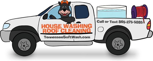 tennessee softwash mascot proving excellent service for knoxville homeowners