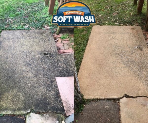 dramatic concrete cleaning before after